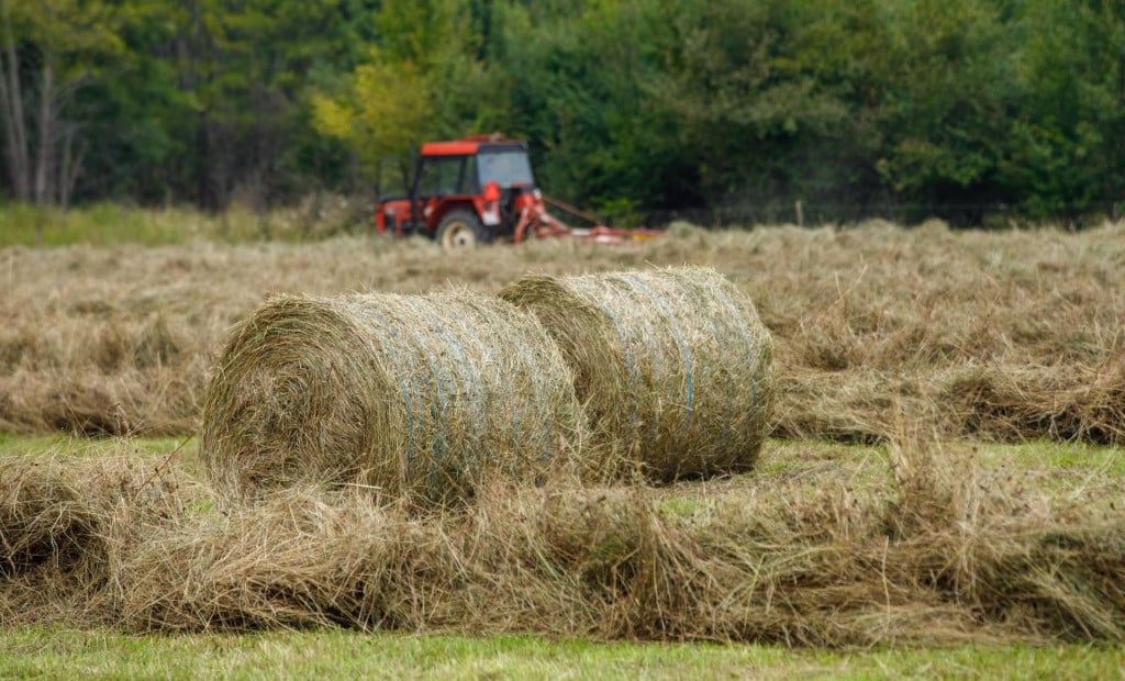Poziv nositeljima poljoprivrednih gospodarstva da izvrše ažuriranje